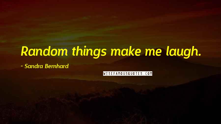 Sandra Bernhard Quotes: Random things make me laugh.