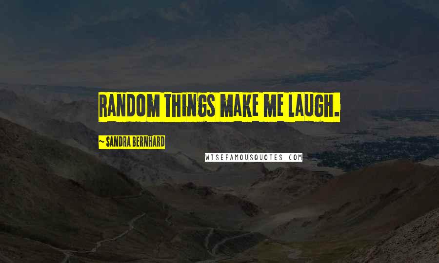 Sandra Bernhard Quotes: Random things make me laugh.