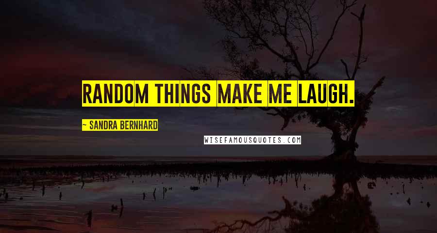 Sandra Bernhard Quotes: Random things make me laugh.