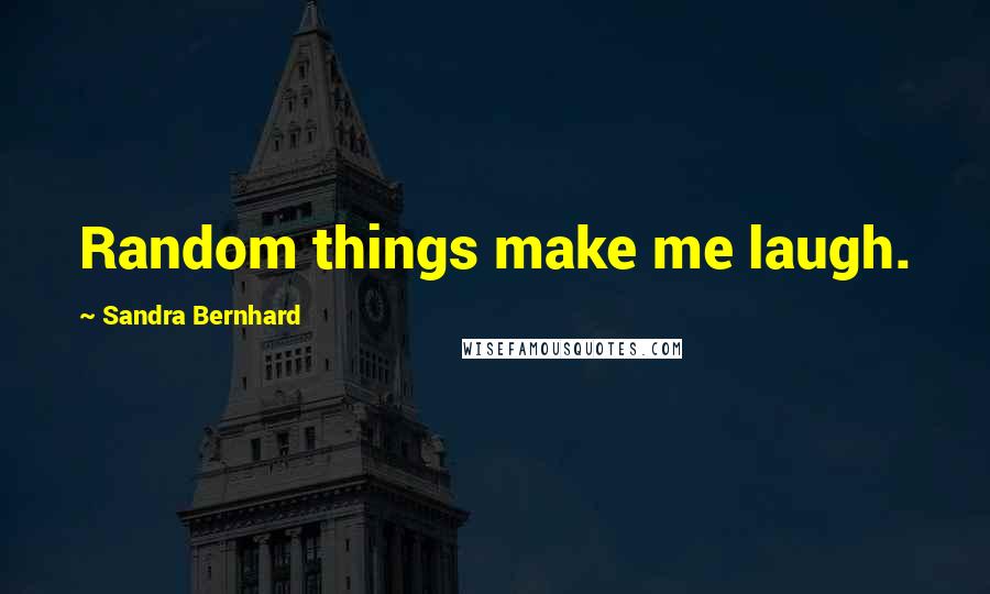 Sandra Bernhard Quotes: Random things make me laugh.