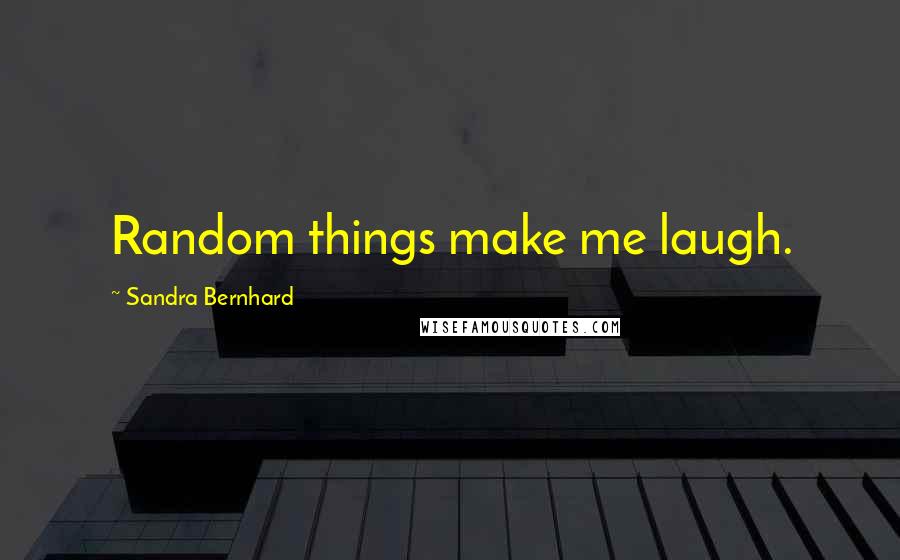 Sandra Bernhard Quotes: Random things make me laugh.