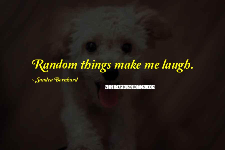 Sandra Bernhard Quotes: Random things make me laugh.