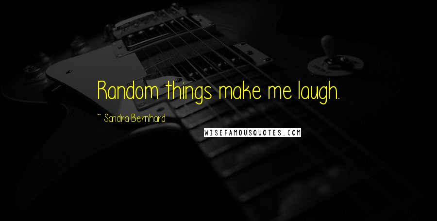 Sandra Bernhard Quotes: Random things make me laugh.
