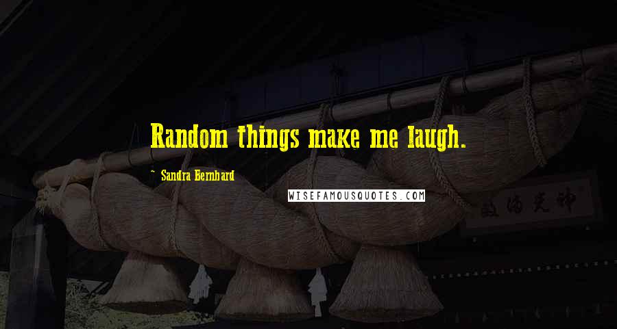 Sandra Bernhard Quotes: Random things make me laugh.