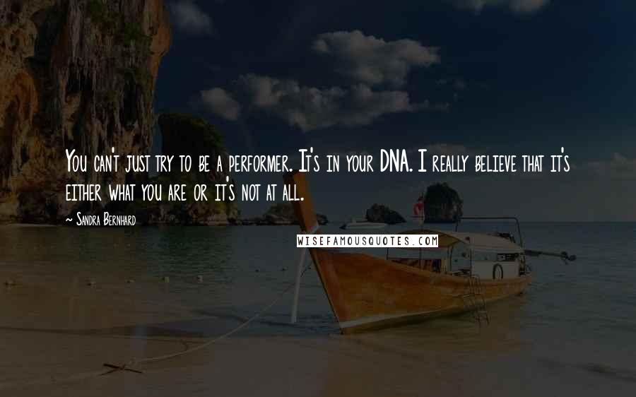 Sandra Bernhard Quotes: You can't just try to be a performer. It's in your DNA. I really believe that it's either what you are or it's not at all.