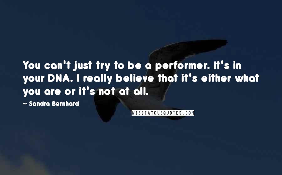 Sandra Bernhard Quotes: You can't just try to be a performer. It's in your DNA. I really believe that it's either what you are or it's not at all.