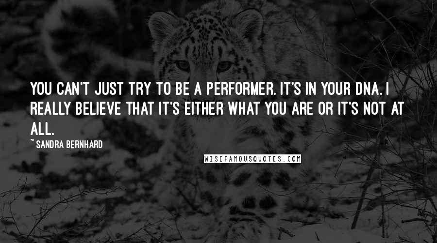 Sandra Bernhard Quotes: You can't just try to be a performer. It's in your DNA. I really believe that it's either what you are or it's not at all.