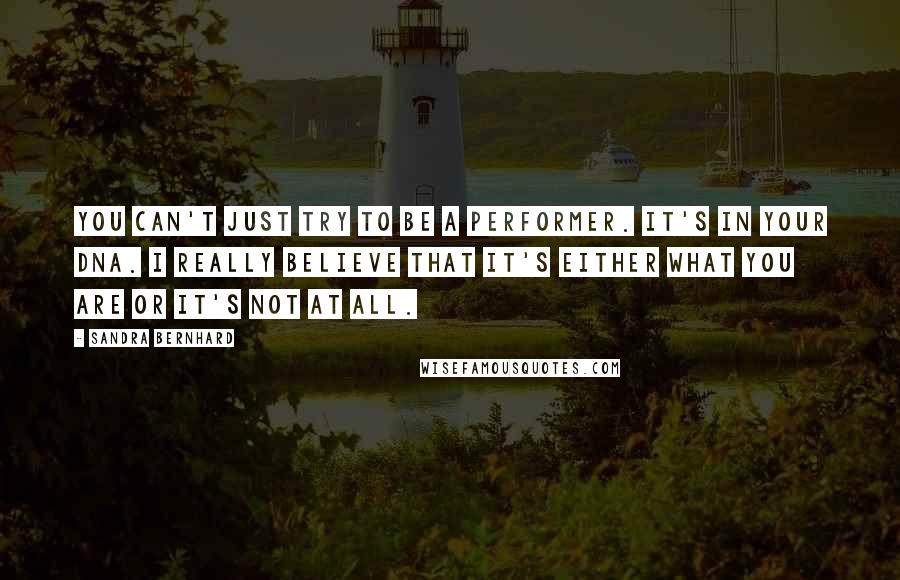 Sandra Bernhard Quotes: You can't just try to be a performer. It's in your DNA. I really believe that it's either what you are or it's not at all.
