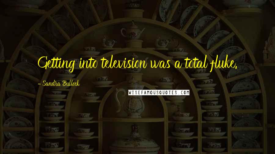 Sandra Bullock Quotes: Getting into television was a total fluke.