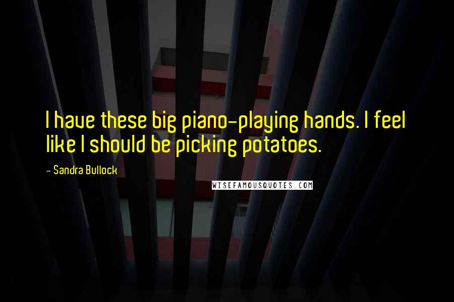Sandra Bullock Quotes: I have these big piano-playing hands. I feel like I should be picking potatoes.
