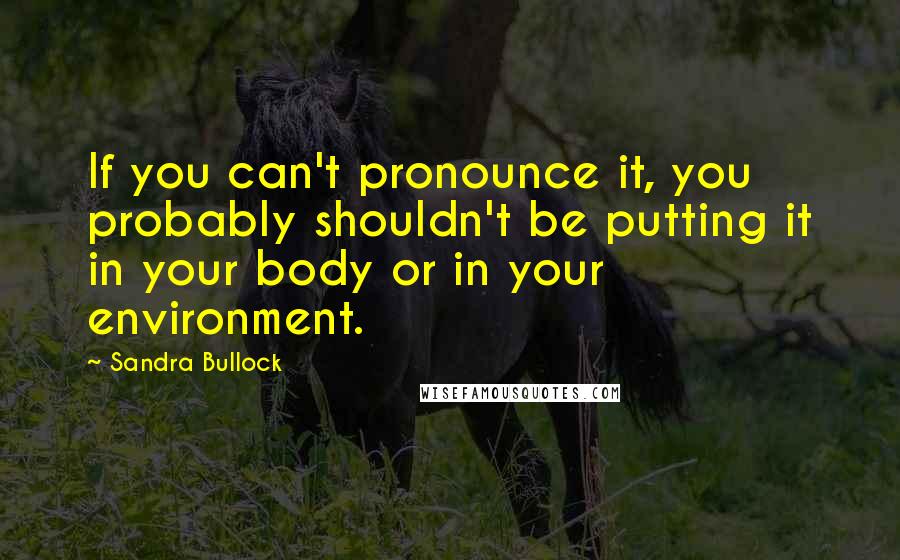 Sandra Bullock Quotes: If you can't pronounce it, you probably shouldn't be putting it in your body or in your environment.