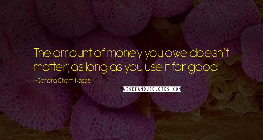 Sandra Chami Kassis Quotes: The amount of money you owe doesn't matter; as long as you use it for good