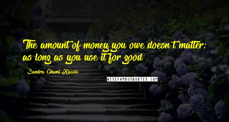 Sandra Chami Kassis Quotes: The amount of money you owe doesn't matter; as long as you use it for good
