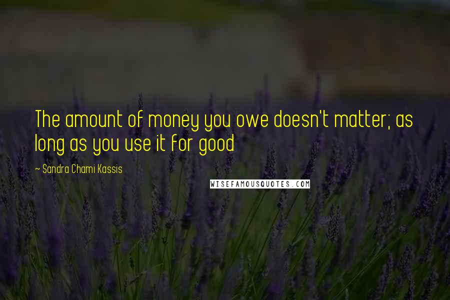Sandra Chami Kassis Quotes: The amount of money you owe doesn't matter; as long as you use it for good