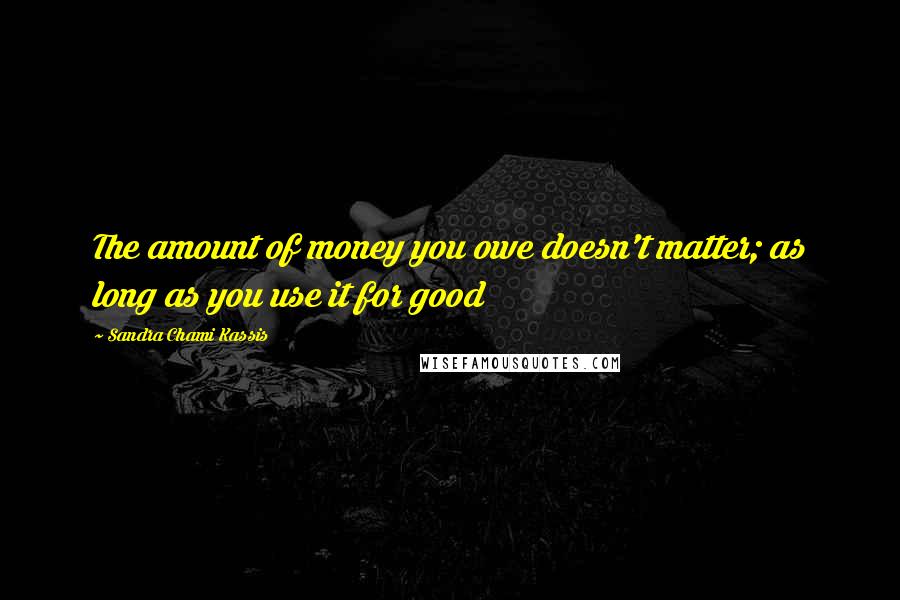 Sandra Chami Kassis Quotes: The amount of money you owe doesn't matter; as long as you use it for good