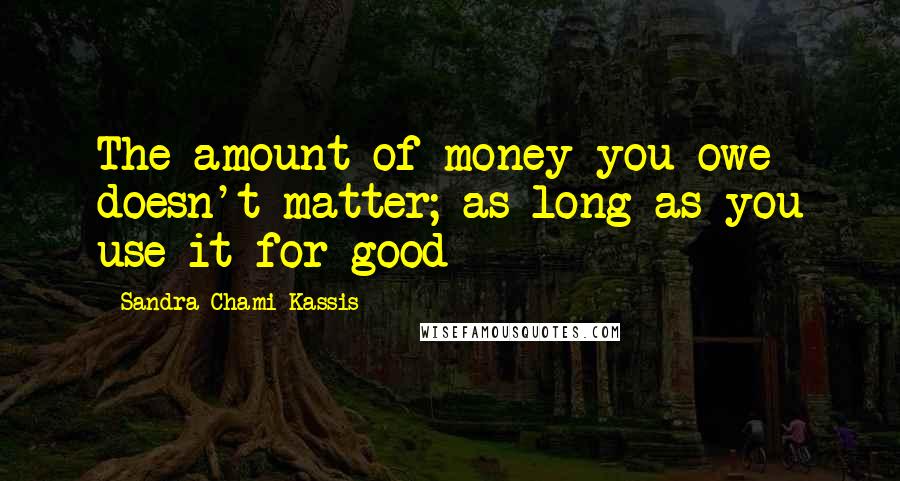 Sandra Chami Kassis Quotes: The amount of money you owe doesn't matter; as long as you use it for good