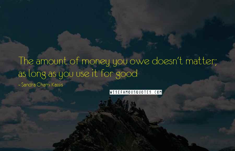 Sandra Chami Kassis Quotes: The amount of money you owe doesn't matter; as long as you use it for good