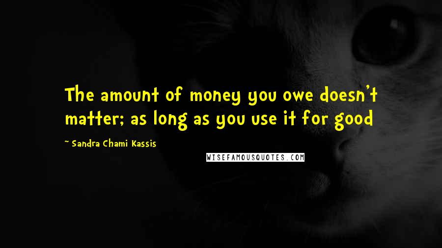 Sandra Chami Kassis Quotes: The amount of money you owe doesn't matter; as long as you use it for good