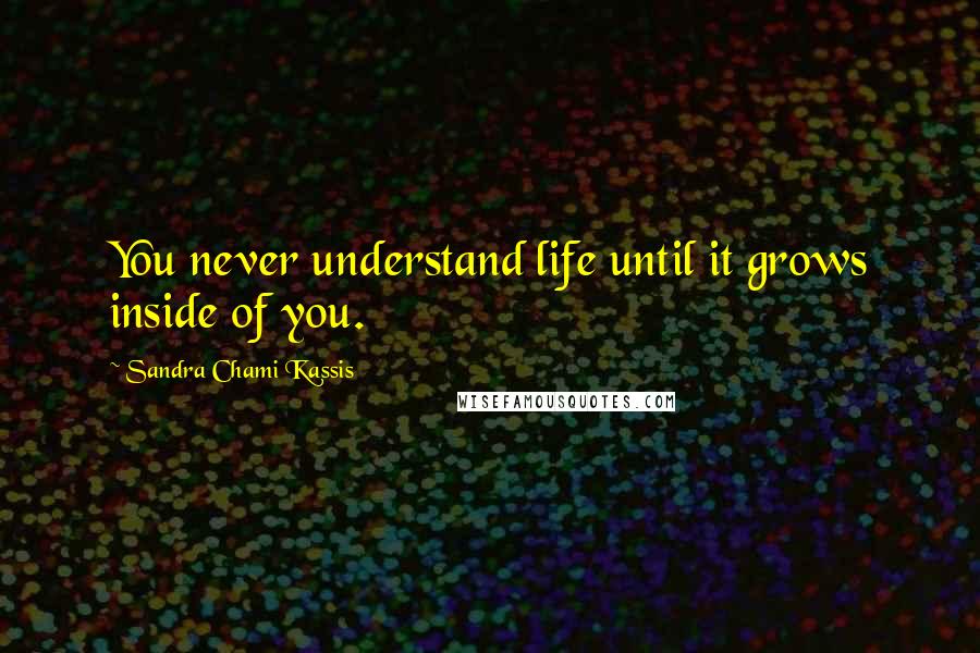 Sandra Chami Kassis Quotes: You never understand life until it grows inside of you.