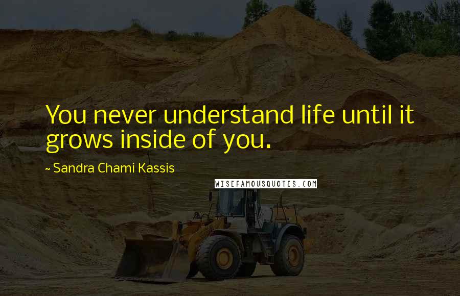 Sandra Chami Kassis Quotes: You never understand life until it grows inside of you.