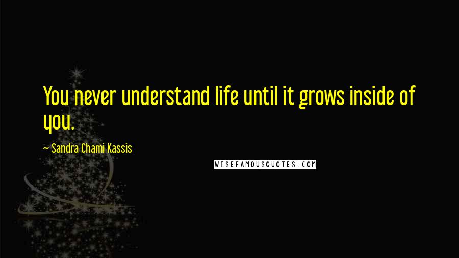 Sandra Chami Kassis Quotes: You never understand life until it grows inside of you.