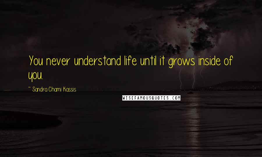 Sandra Chami Kassis Quotes: You never understand life until it grows inside of you.