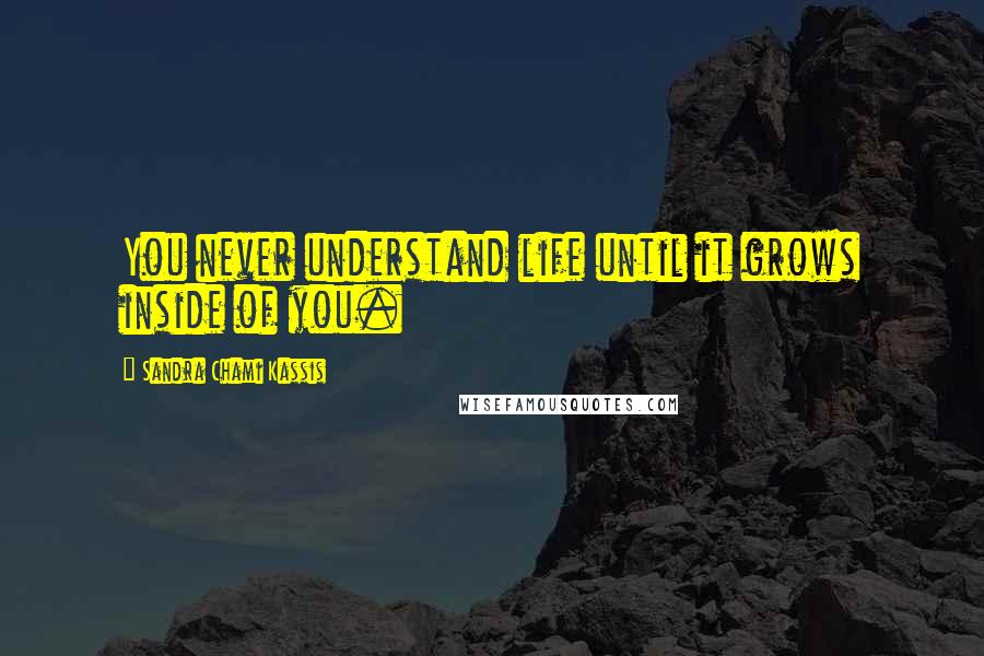 Sandra Chami Kassis Quotes: You never understand life until it grows inside of you.