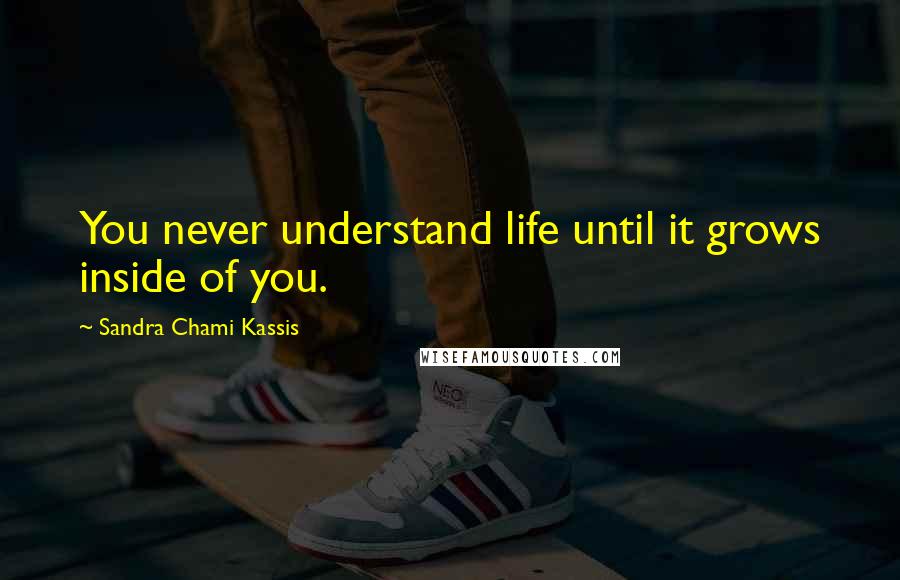 Sandra Chami Kassis Quotes: You never understand life until it grows inside of you.