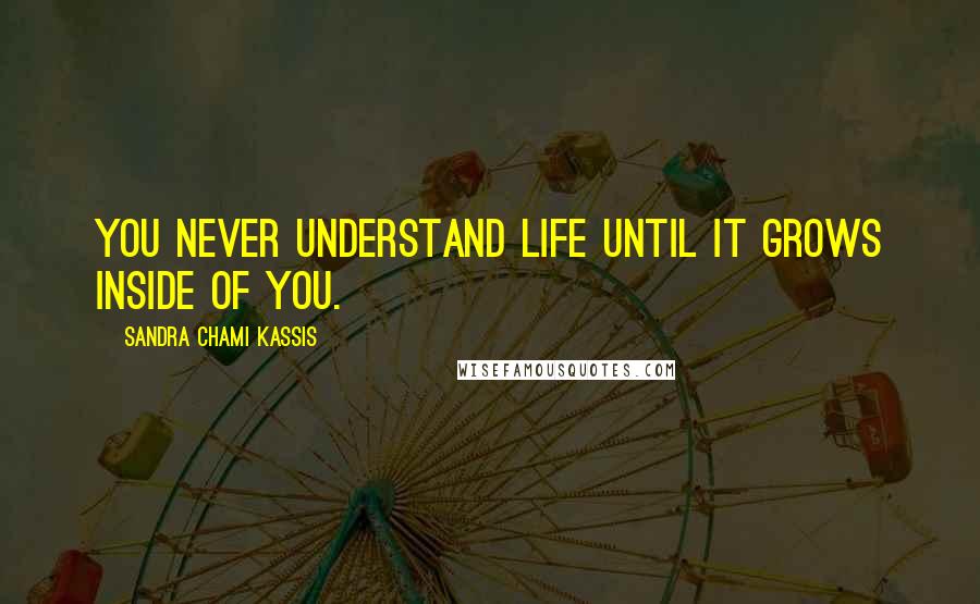 Sandra Chami Kassis Quotes: You never understand life until it grows inside of you.