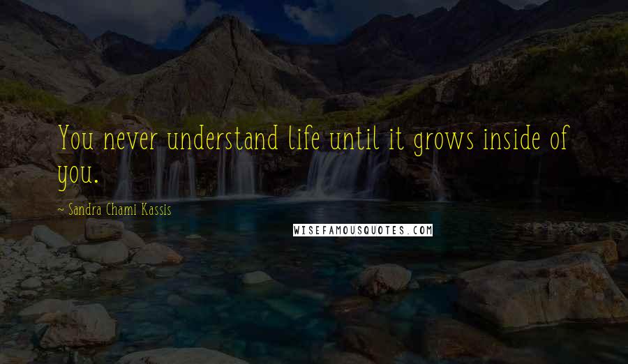 Sandra Chami Kassis Quotes: You never understand life until it grows inside of you.