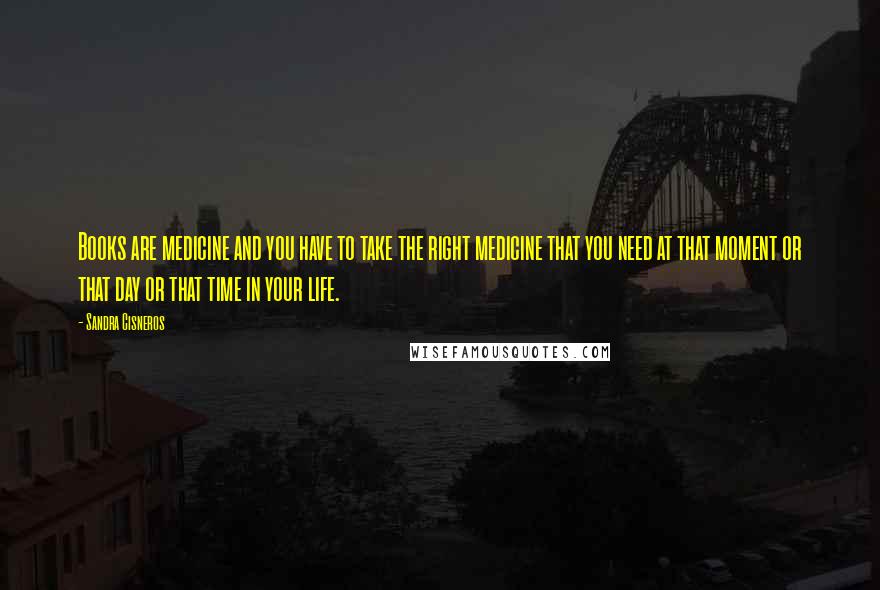 Sandra Cisneros Quotes: Books are medicine and you have to take the right medicine that you need at that moment or that day or that time in your life.