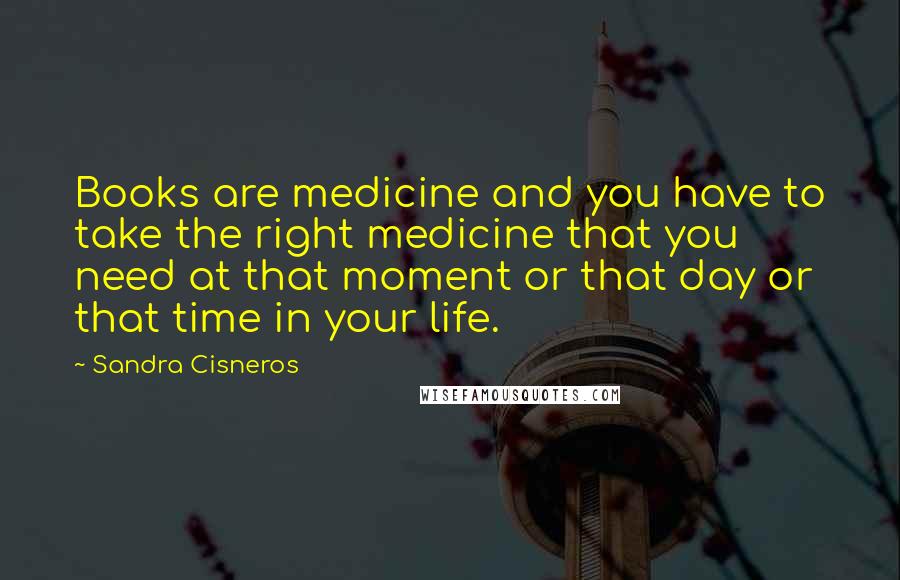 Sandra Cisneros Quotes: Books are medicine and you have to take the right medicine that you need at that moment or that day or that time in your life.