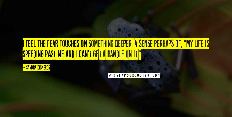 Sandra Cisneros Quotes: I feel the fear touches on something deeper. A sense perhaps of, "My life is speeding past me and I can't get a handle on it."