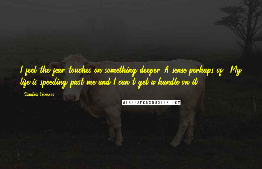 Sandra Cisneros Quotes: I feel the fear touches on something deeper. A sense perhaps of, "My life is speeding past me and I can't get a handle on it."