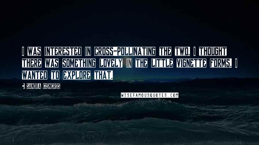 Sandra Cisneros Quotes: I was interested in cross-pollinating the two. I thought there was something lovely in the little vignette forms. I wanted to explore that.
