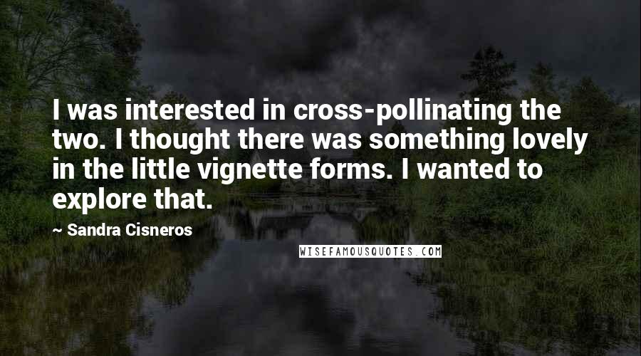 Sandra Cisneros Quotes: I was interested in cross-pollinating the two. I thought there was something lovely in the little vignette forms. I wanted to explore that.