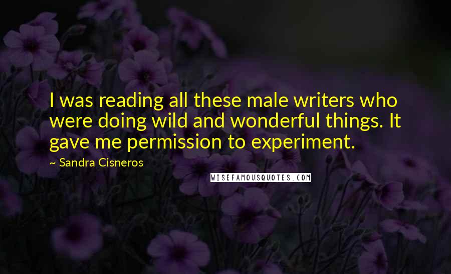 Sandra Cisneros Quotes: I was reading all these male writers who were doing wild and wonderful things. It gave me permission to experiment.