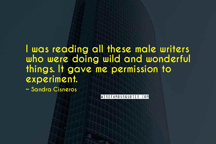 Sandra Cisneros Quotes: I was reading all these male writers who were doing wild and wonderful things. It gave me permission to experiment.