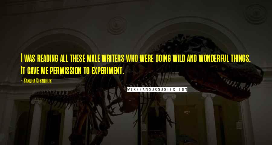 Sandra Cisneros Quotes: I was reading all these male writers who were doing wild and wonderful things. It gave me permission to experiment.