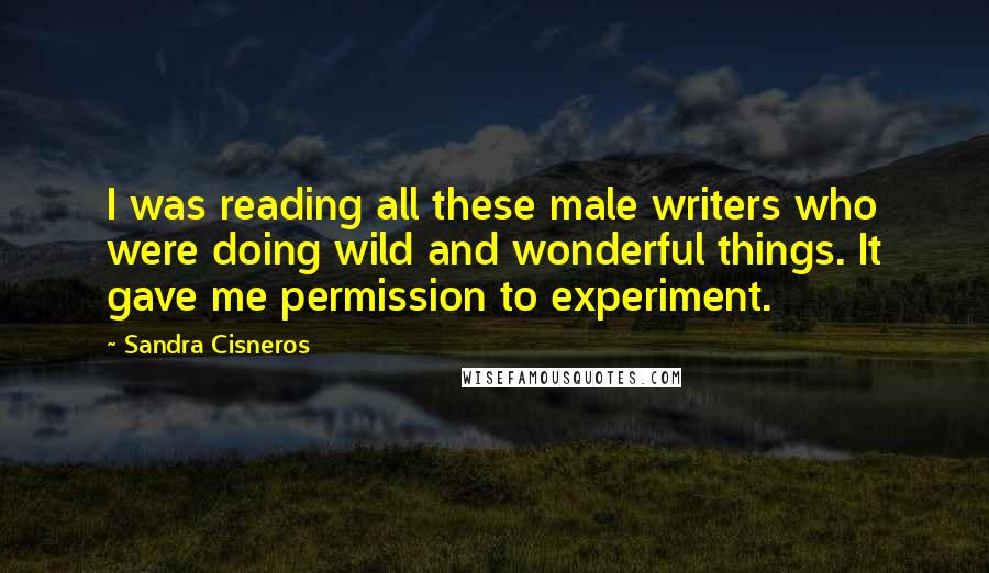 Sandra Cisneros Quotes: I was reading all these male writers who were doing wild and wonderful things. It gave me permission to experiment.