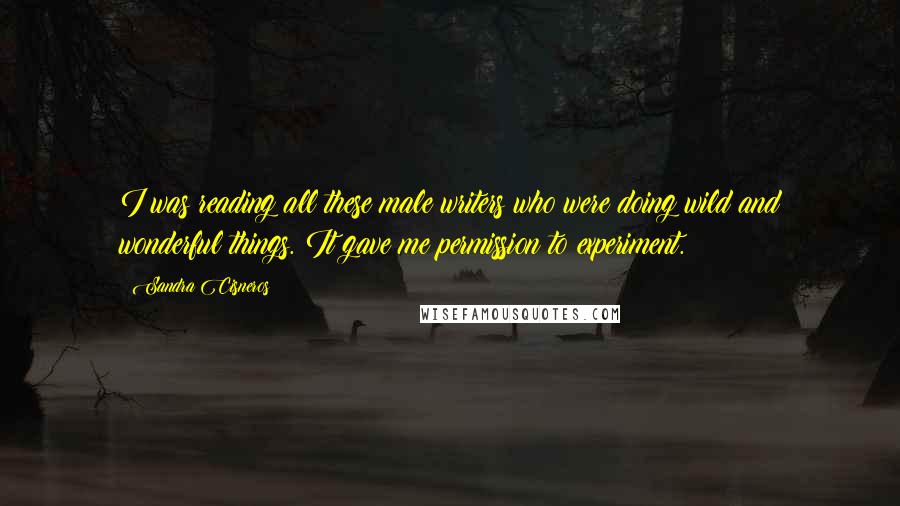 Sandra Cisneros Quotes: I was reading all these male writers who were doing wild and wonderful things. It gave me permission to experiment.