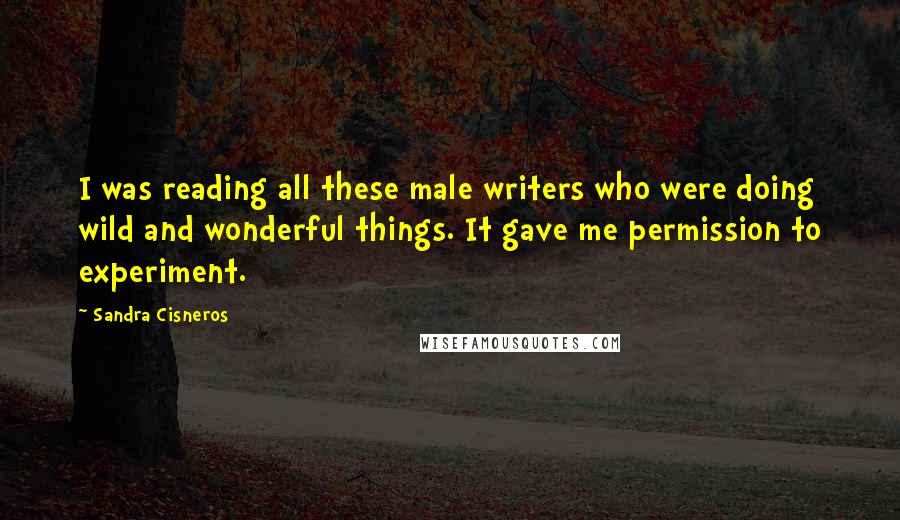 Sandra Cisneros Quotes: I was reading all these male writers who were doing wild and wonderful things. It gave me permission to experiment.