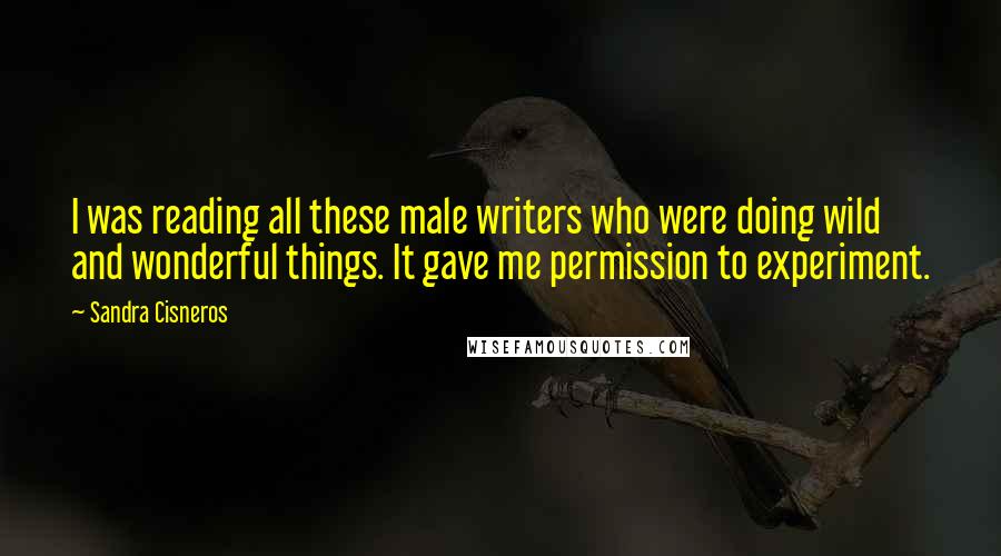 Sandra Cisneros Quotes: I was reading all these male writers who were doing wild and wonderful things. It gave me permission to experiment.