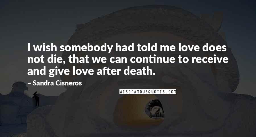 Sandra Cisneros Quotes: I wish somebody had told me love does not die, that we can continue to receive and give love after death.