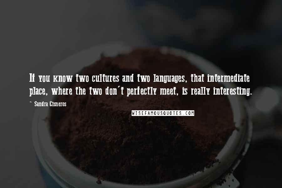 Sandra Cisneros Quotes: If you know two cultures and two languages, that intermediate place, where the two don't perfectly meet, is really interesting.