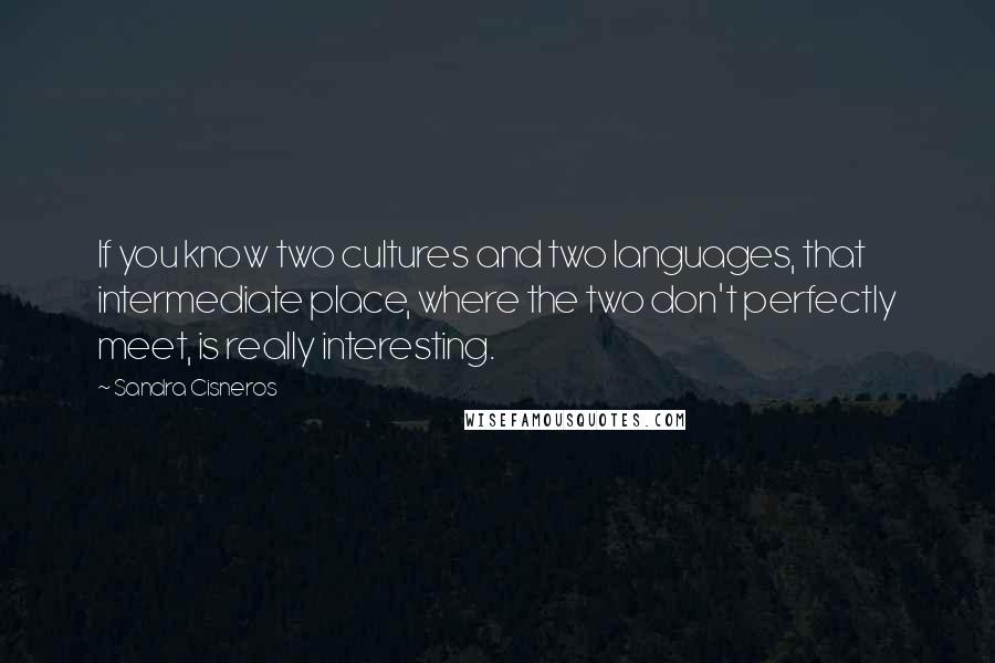 Sandra Cisneros Quotes: If you know two cultures and two languages, that intermediate place, where the two don't perfectly meet, is really interesting.