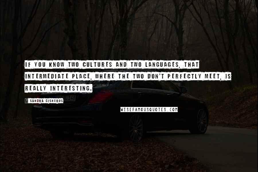 Sandra Cisneros Quotes: If you know two cultures and two languages, that intermediate place, where the two don't perfectly meet, is really interesting.