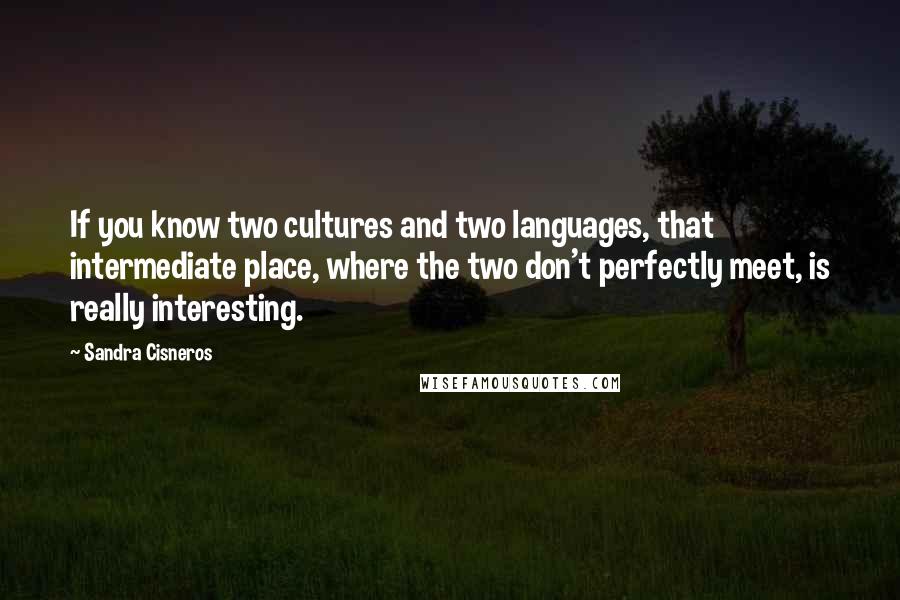 Sandra Cisneros Quotes: If you know two cultures and two languages, that intermediate place, where the two don't perfectly meet, is really interesting.