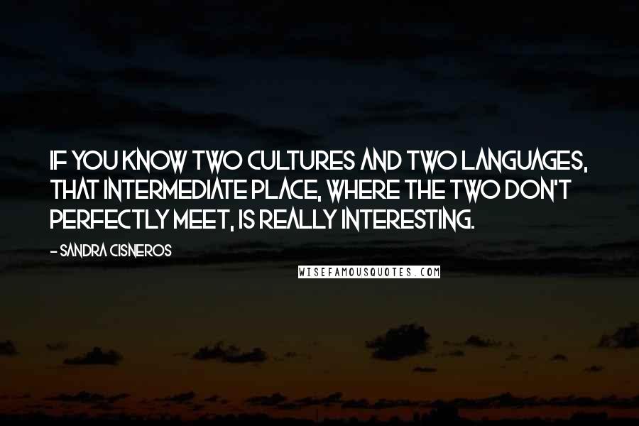 Sandra Cisneros Quotes: If you know two cultures and two languages, that intermediate place, where the two don't perfectly meet, is really interesting.