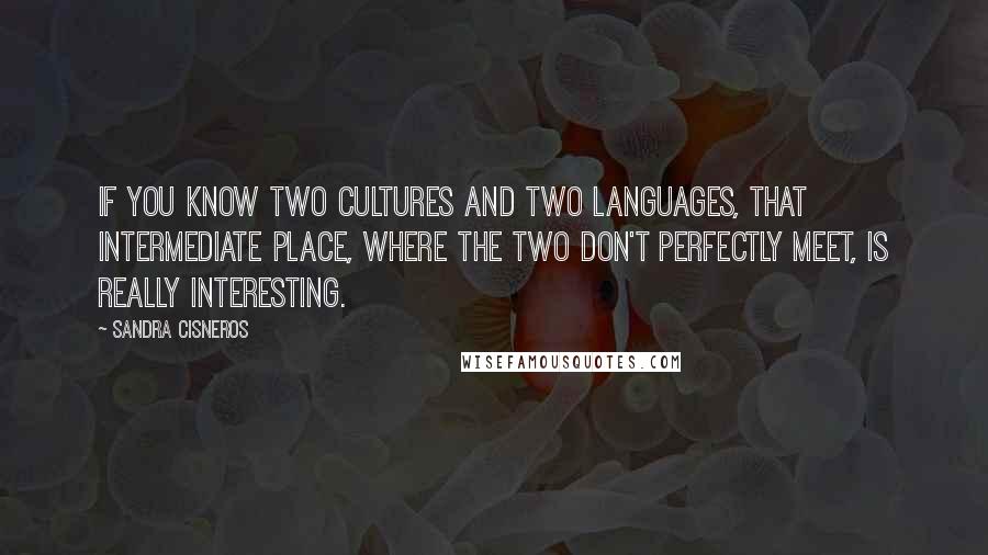 Sandra Cisneros Quotes: If you know two cultures and two languages, that intermediate place, where the two don't perfectly meet, is really interesting.